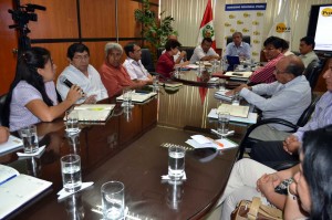 consejodirectivosirepi2015_1