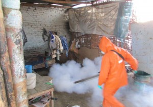 denguefumigacionmalation02