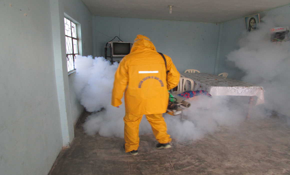 fumigacioncastilla02