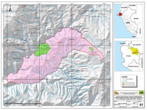 bosque nogal conservación 02