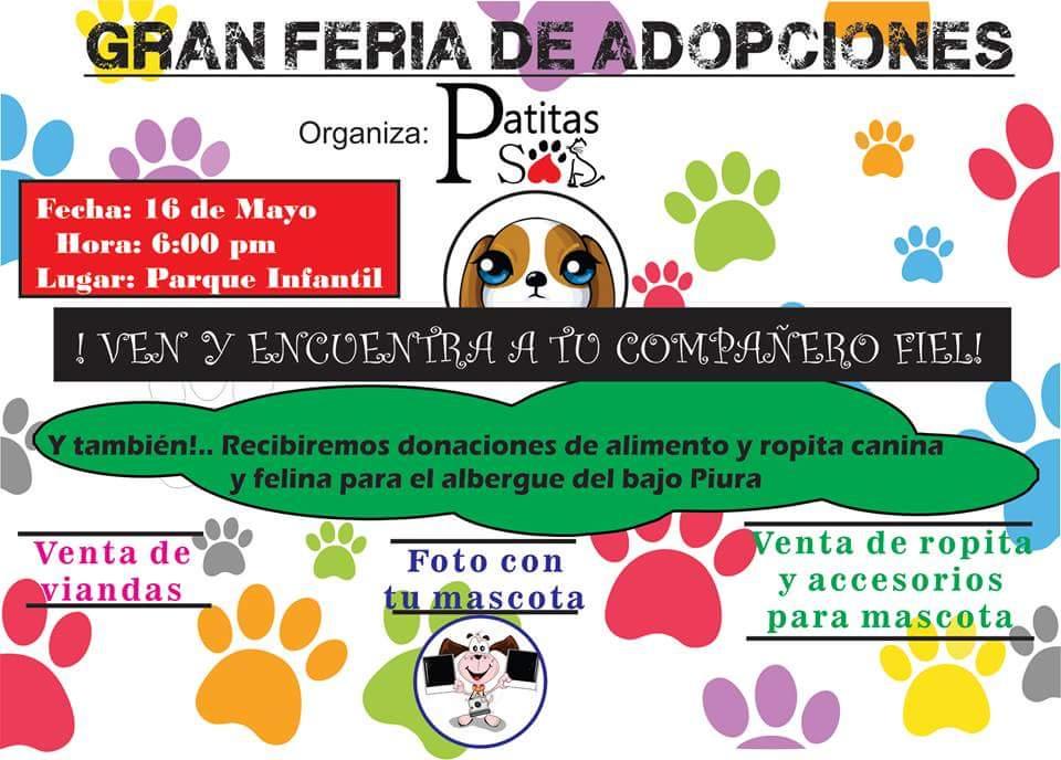 feria animalitos convocatoria