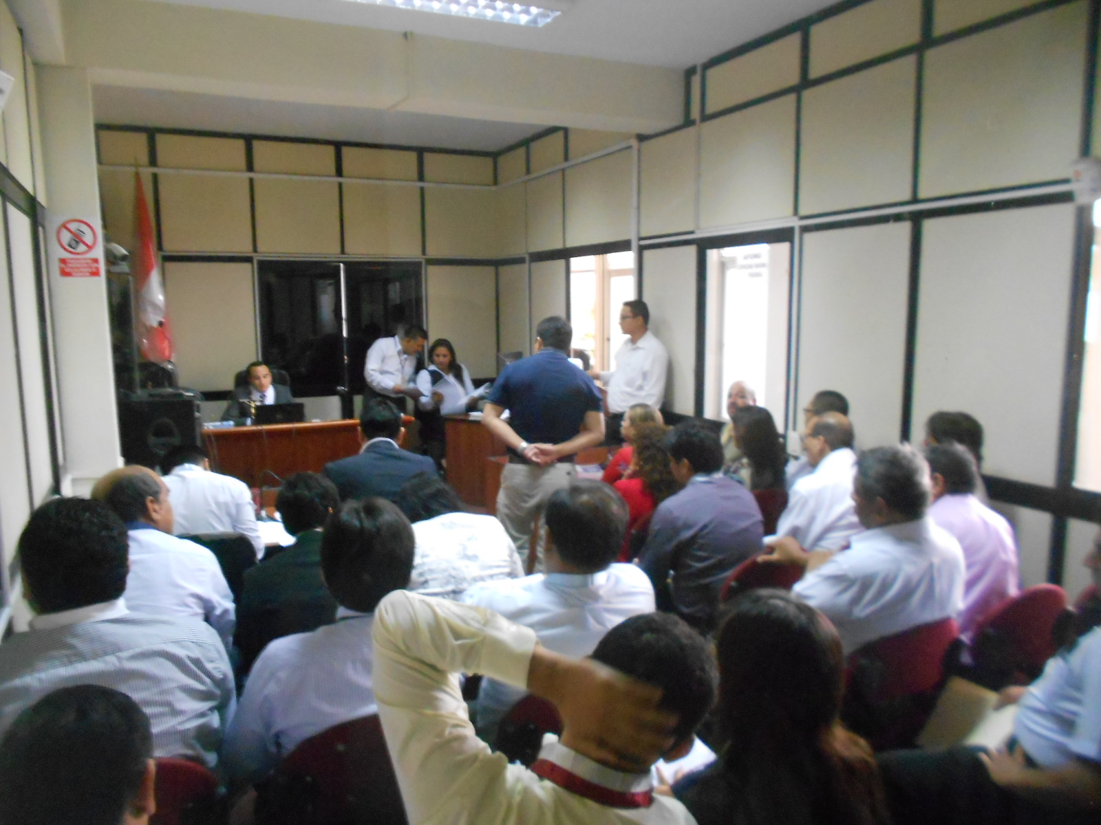 audiencia violeta (1)