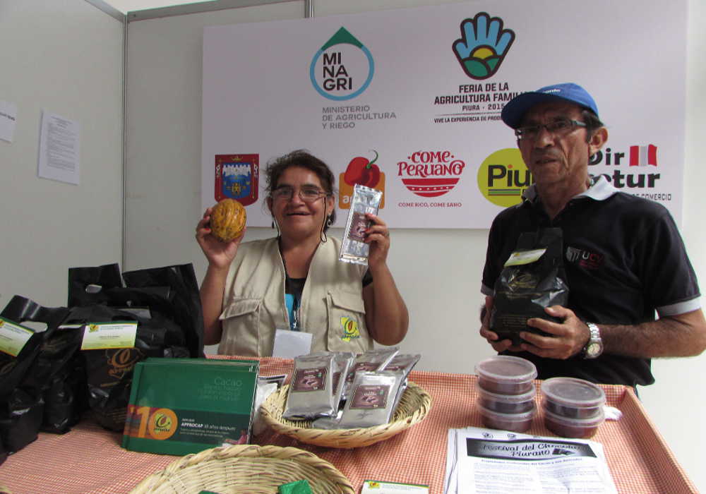 cacao familias alto piura