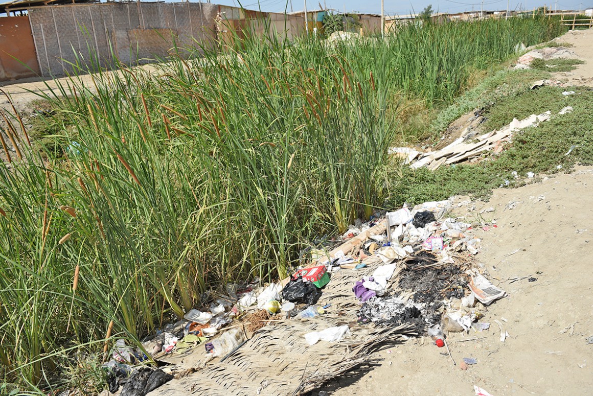 dren Japón Turquía