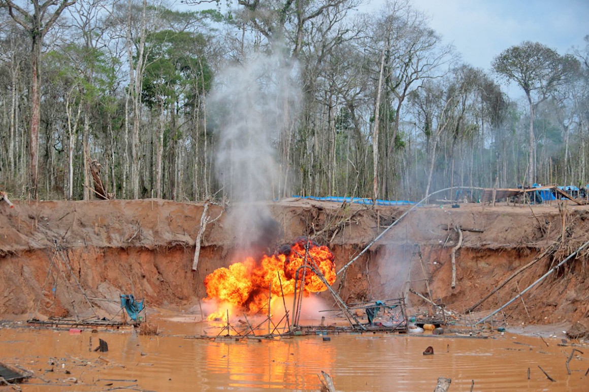 minería ilegal erradicación