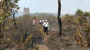 screenshot_2016-11-25-23-07-26_1