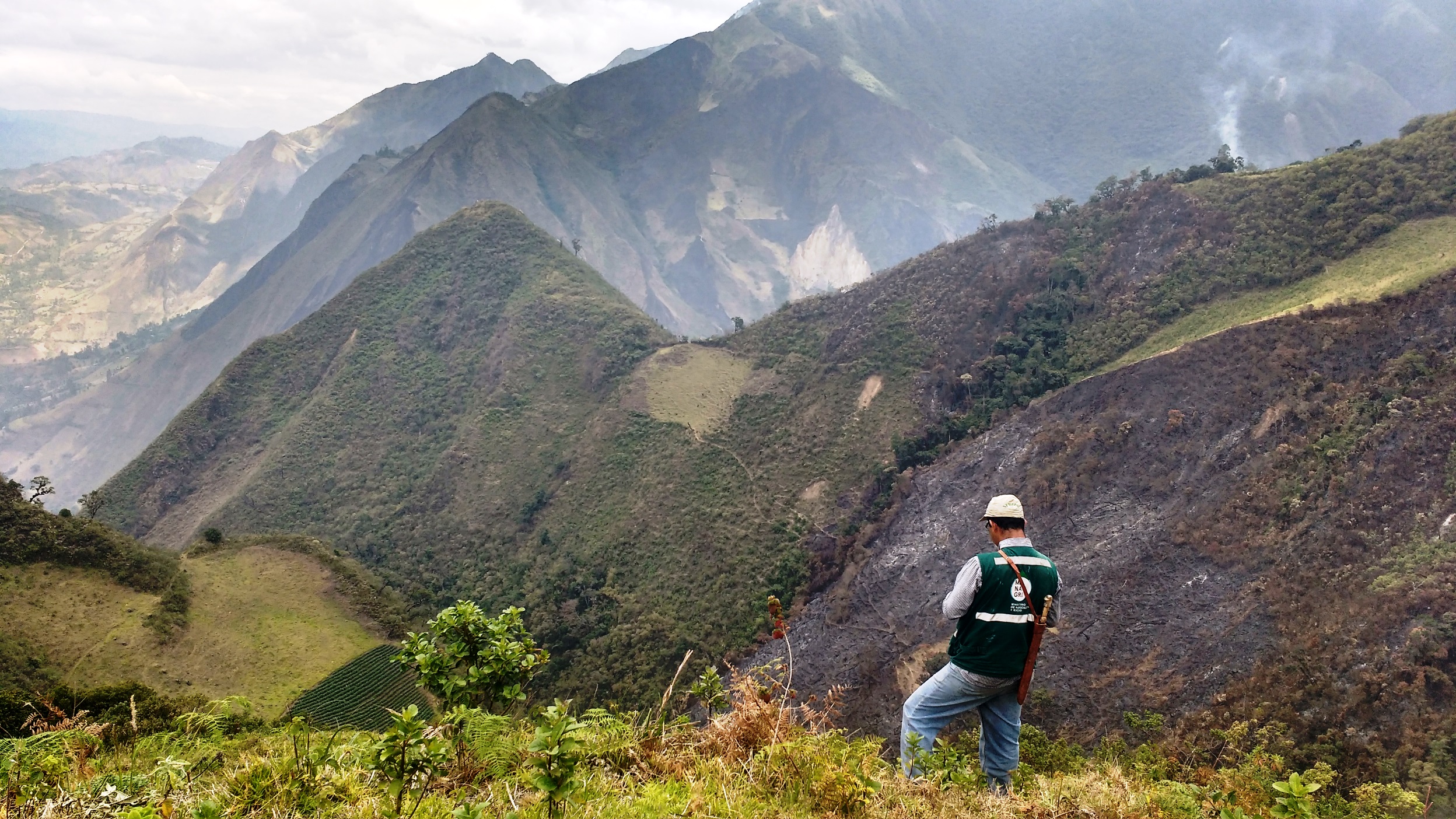 incendios-forestales