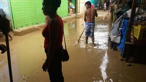 WhatsApp Image 2017-01-31 at 11.57.48 (1)