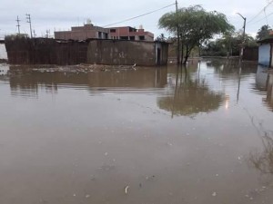 16443511_1287570844642599_804310869_n