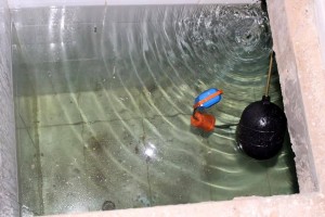 16708314_1841677149414539_2182021043559948020_n