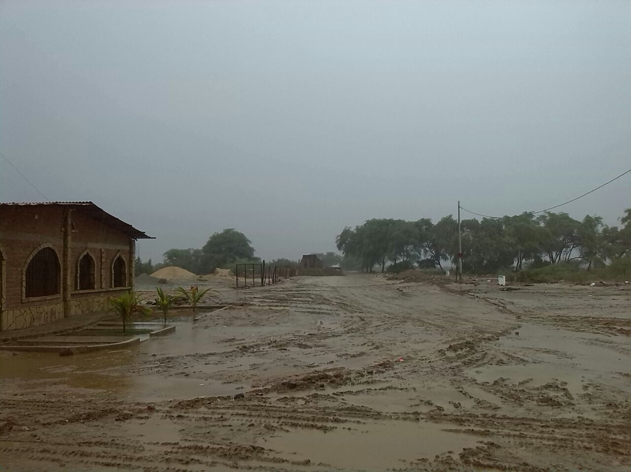 WhatsApp Image 2017-02-02 at 08.18.47