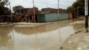 WhatsApp Image 2017-02-02 at 12.11.13