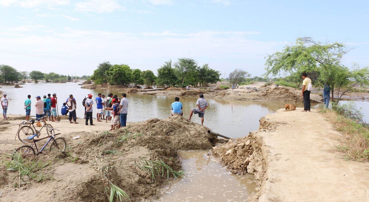 17758549_1891698127768258_7447113056917492545_o (1)