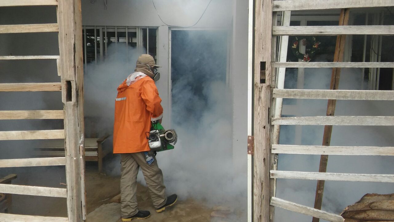 Fumigación Algarrobos (1)