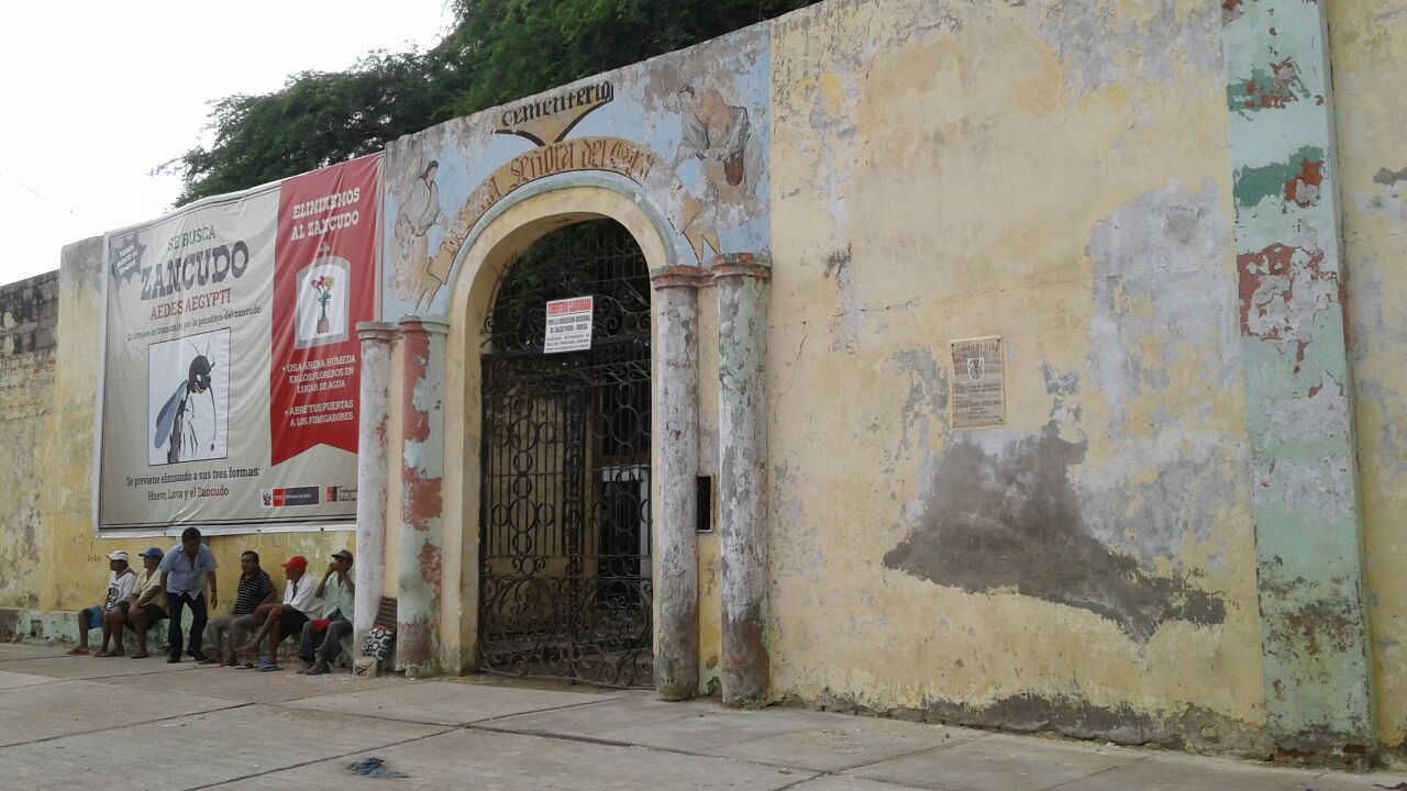 WhatsApp Image 2017-05-10 at 11.26.21 AM