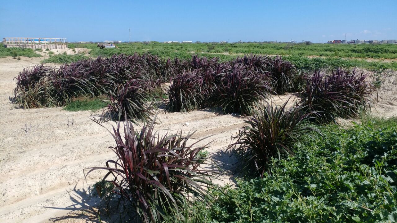 WhatsApp Image 2017-06-16 at 5.20.32 PM