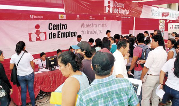 EMPRESA REQUIERE 700 OBREROS PARA CAMPAÑA DE EMPAQUE DE UVA DE EXPORTACIÓN