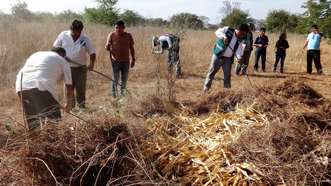 Taller de prevención de incendios forestales4