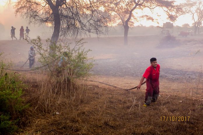 Foto: Cutivalú/Paúl Sunción