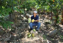 APPROCAP gana Premio Internacional del Cacao