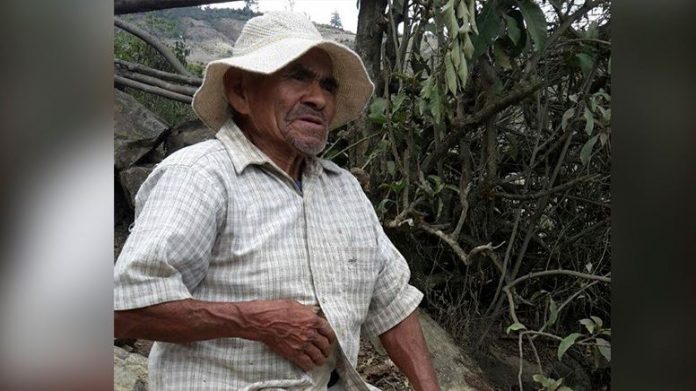 26102908_10155977158003088_370584814_n