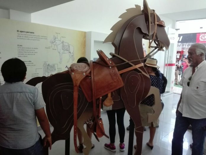 WhatsApp Image 2017-12-18 at 1.06.41 PM