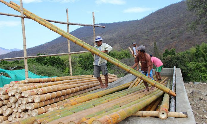 Preservado-de-bambú-1200x719