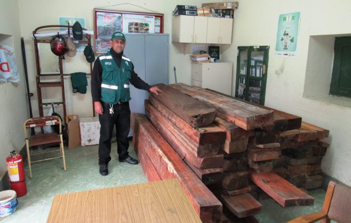 Decomiso de madera en Hbba.