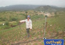Agricultores preocupados por ausencia de lluvias en Ayabaca y Huancabamba