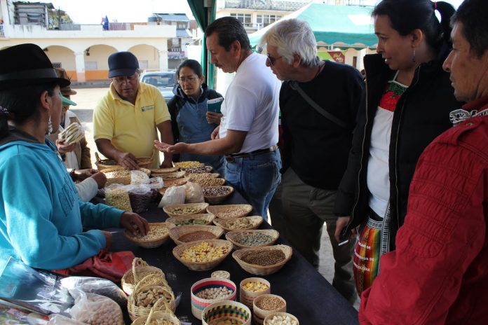 agricultura-ecologica-anpe