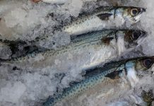 Seis alimentos que ayudan a prevenir el cáncer