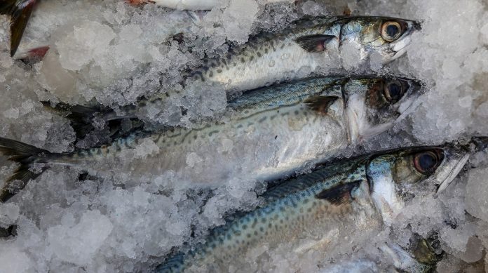 Seis alimentos que ayudan a prevenir el cáncer (1)