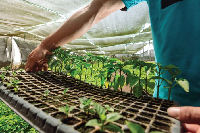 innovacion para micro