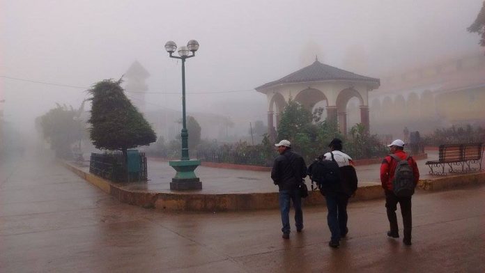 lluvia-neblina-ayaba