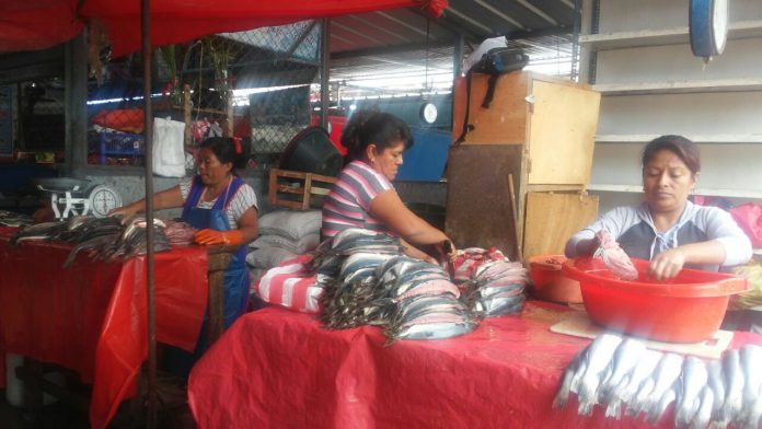pescado-mercado