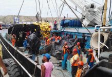 Paita celebrará el Día del Pescador en medio de informalidad en el mar