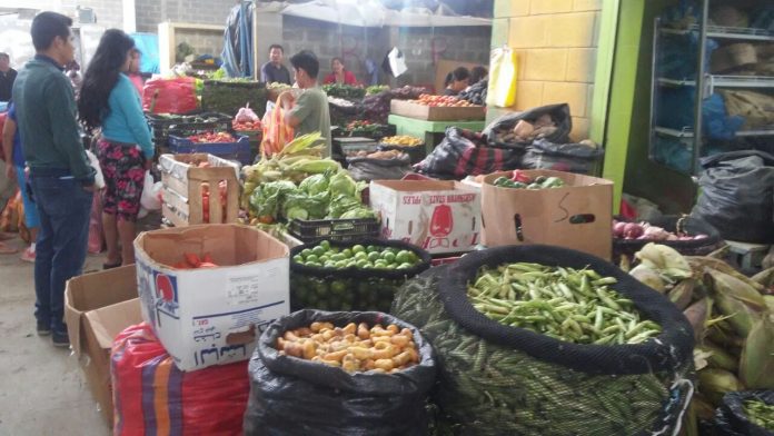 verduras-tuberculos-cutivalu