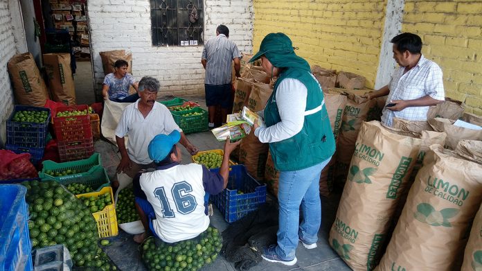 capacitacion_plaga_hlb