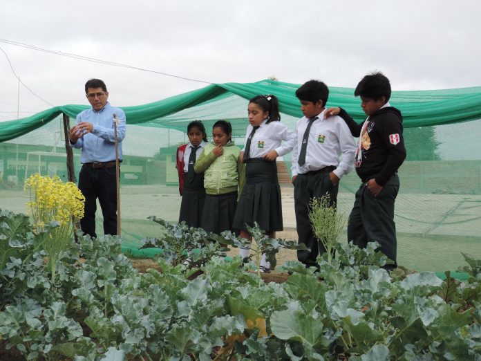 huerto-sechura-escolares