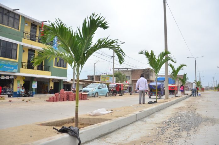 avenida-ignacia-schaefer-tambogrande