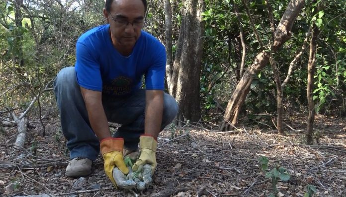 ecologia-referencial