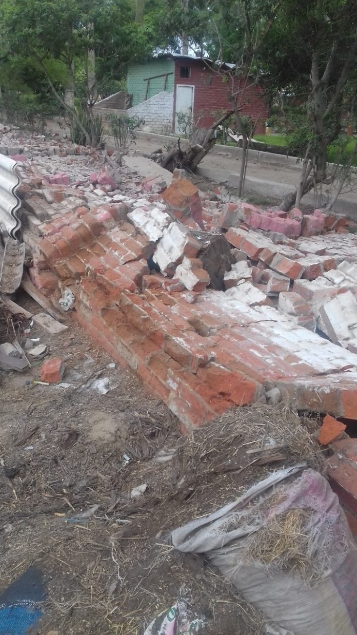 WhatsApp Image 2019-03-06 at 3.42.04 PM