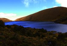 La tala indiscriminada en Ayabaca y Huancabamba es una amenaza para la regulación del agua