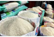 Adex prevé incremento de exportaciones peruanas de arroz