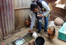 Multarán a vecinos que no dejen inspeccionar sus casas para control del dengue en Castilla