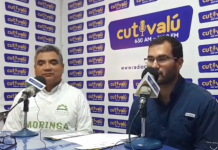 Moringa debe ser incluída en la dieta diaria por su aporte nutricional