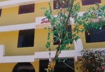 Sechura: paran por primera vez un yunce sintético