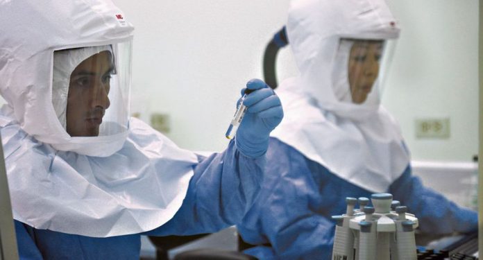 pruebas moleculares coronavirus