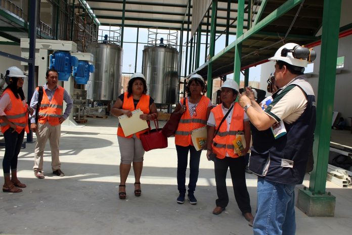 norandino planta chocolate