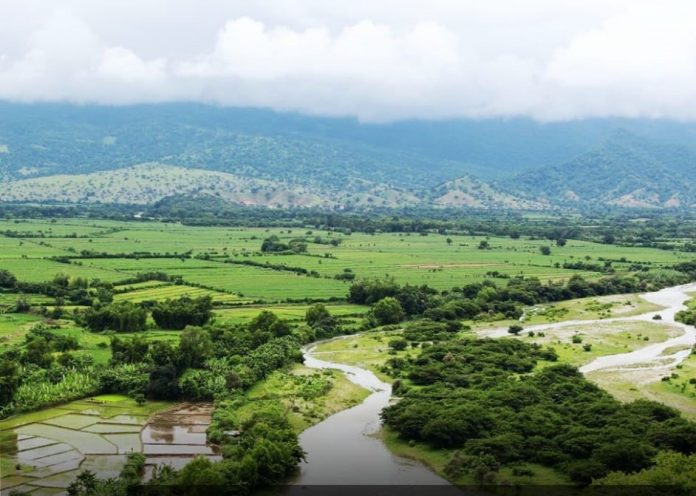 Alto Piura tierras